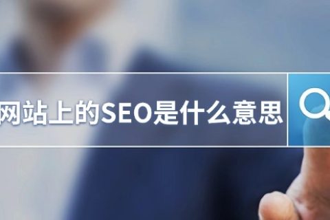 վϵSEOʲô˼