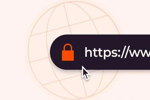 https֤鹺Ч