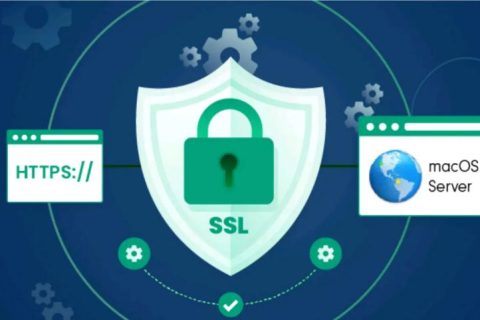 SSL֤һҪǮ